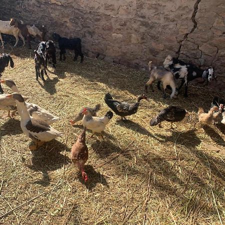 Nubian Farm Aswan Villa Exterior foto
