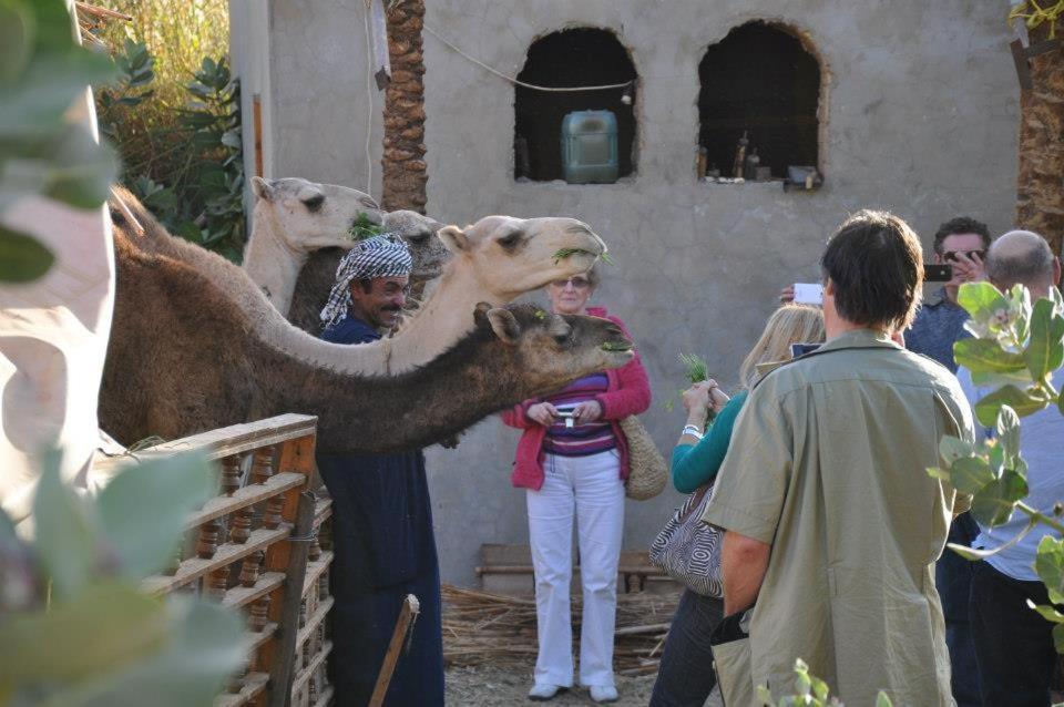 Nubian Farm Aswan Villa Exterior foto
