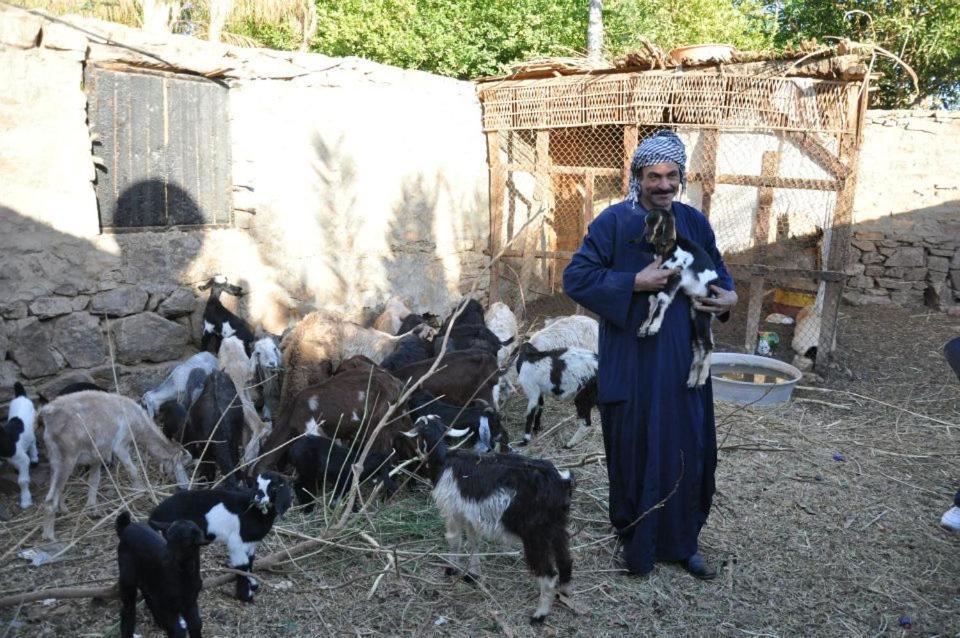 Nubian Farm Aswan Villa Exterior foto